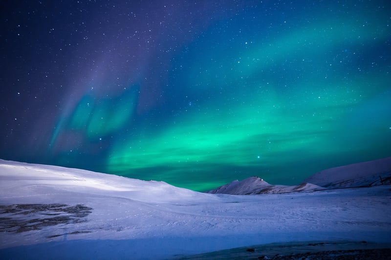 Aurora Dresses