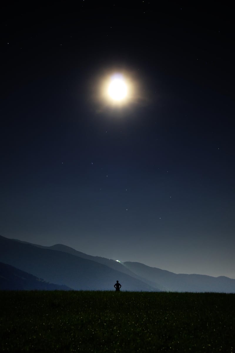 Moonlit Elegance